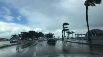 تحذير لرواد البحار.. شبورة كثيفة ورياح تضرب الملاحة الجوية والبحرية خلال أسبوع